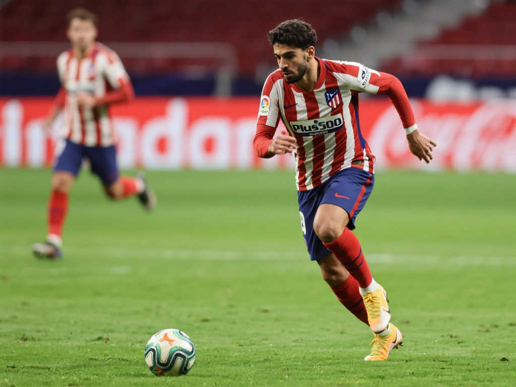 hth 华体会注册送彩金